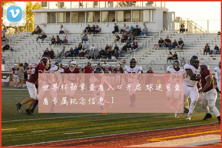 世界杯勋章查看入口开启 球迷可查看专属纪念信息_1