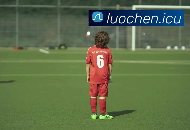 App Interface Preview